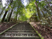 石段　67回目 画像2