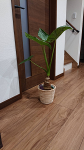 ストレス解消できた 画像1
