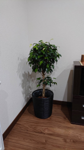 ストレス解消できた 画像2