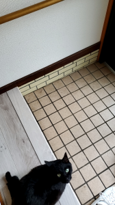 得意なDIYで 画像1