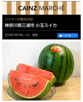 小玉すいか 画像1