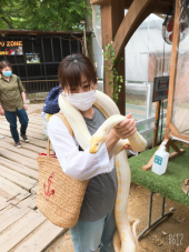 サファリパーク 画像2