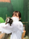 サファリパーク