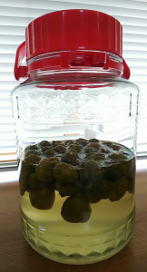 自家製 と 水曜どうでしょう 画像3