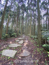石段　68回目 画像2
