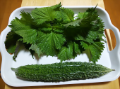 炊き込みご飯 と 足首ウォーマー と アボカド 画像1