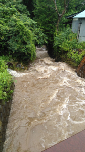 昨日の雨は凄かった…↑ 画像3
