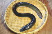 8月2日（日） 画像3