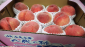 桃 画像1