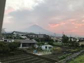 また庭掃除 画像1