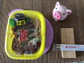 8月4日（火）