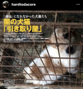 「数値規制〜署名〜」 画像3