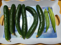 液体肥料 と 29本目！
