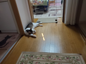 バテまる 画像1