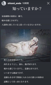 「道徳の授業をします。」 画像2