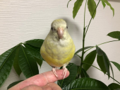 8月16日（日） 画像3