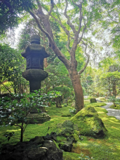 竹の寺 画像2