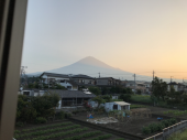 夕方歩いた 画像1