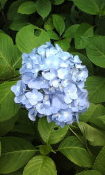 体は正直・・ 画像1