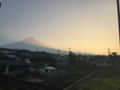 受け入れるしかないのか 画像1