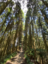 石段　74回目 画像1
