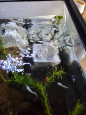 水流調整 画像2