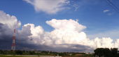 カエル と モクモク雲 画像3