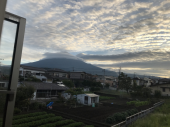 歩いてきました 画像2