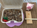 9月18日（金）