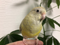 9月21日（月）