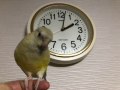 9月23日（水）