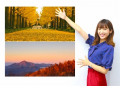 9月23日（水）