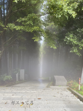 石段　76回目 画像2