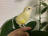 9月28日（月） 画像3
