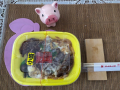 10月6日（火）