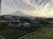 楽しかった 画像1