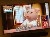 万ちゃん記 (1283）【 ねほりん 】～今回(今年)こそリバウンドしない！ 画像1