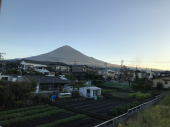 今日も歩けた 画像1