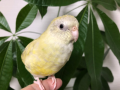 10月15日（木）