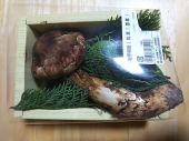 松茸  と 焼きまんじゅう 画像1