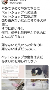 「現実から目を逸らすな」 画像2