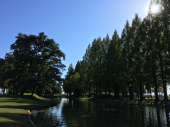 201025　お礼参り 画像1