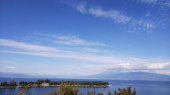 静岡☆堪能 画像1