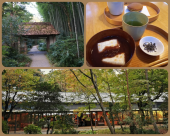 静岡☆堪能 画像3