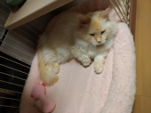 秋晴れ～ 画像2