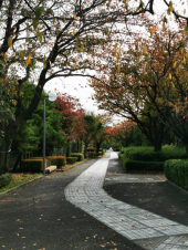 他力本願 画像1