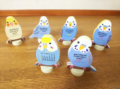排水口 と インコカレンダー 画像1
