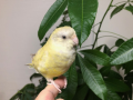 11月5日（木）