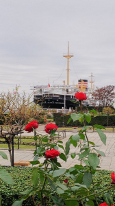 Yokohama♪ 画像1