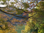 入之波温泉(しおのはおんせん) 画像2